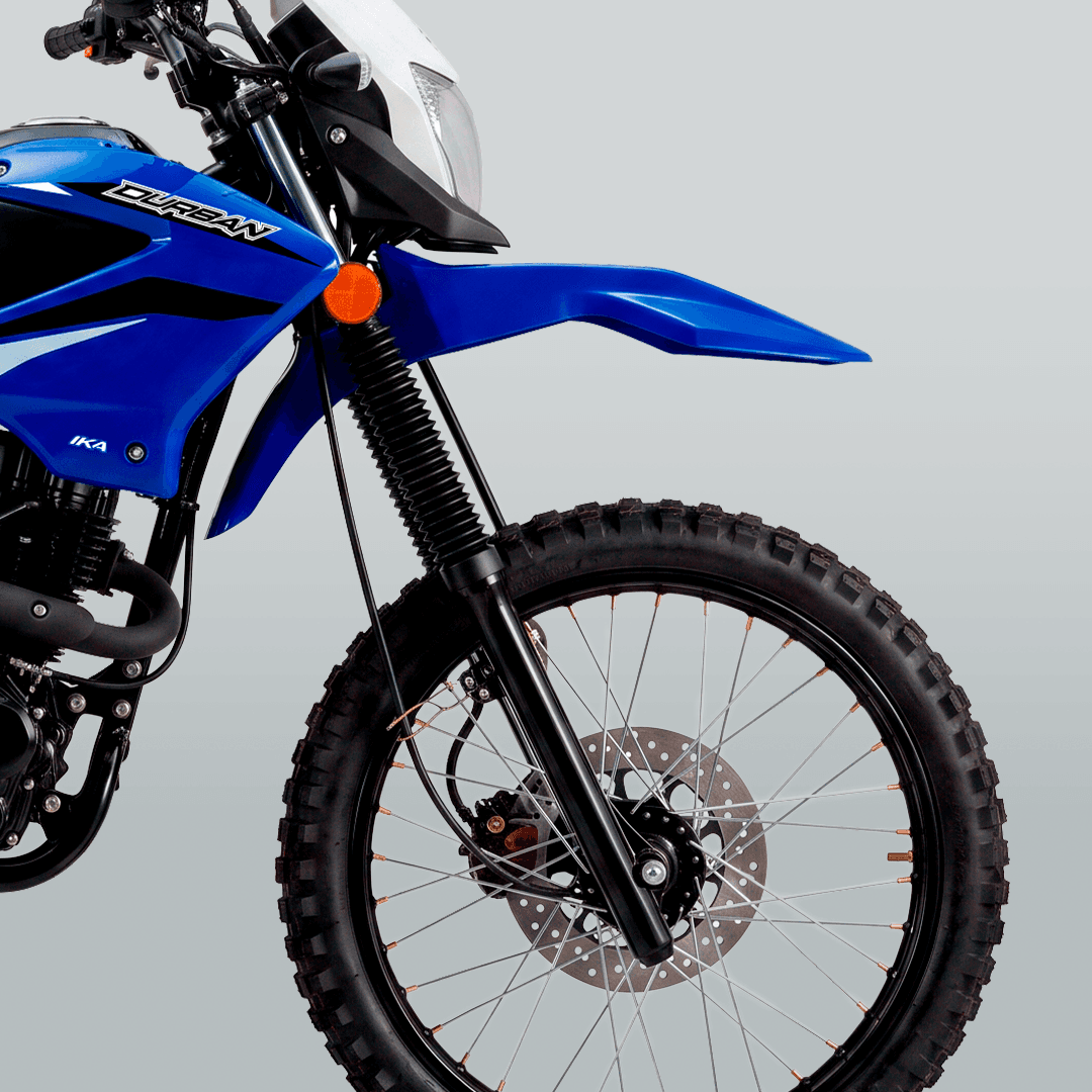 Durban 150 — detalle 1